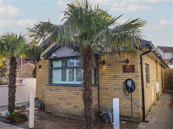 Palm Tree Cottage - Isle of Wight