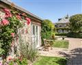 Palomino Cottage in Brook, near Brighstone - Isle of Wight