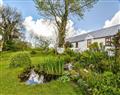 Lay in a Hot Tub at Pandy Cottage; Dyfed