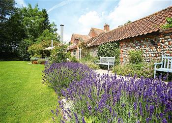 Pear Tree Cottage - Norfolk