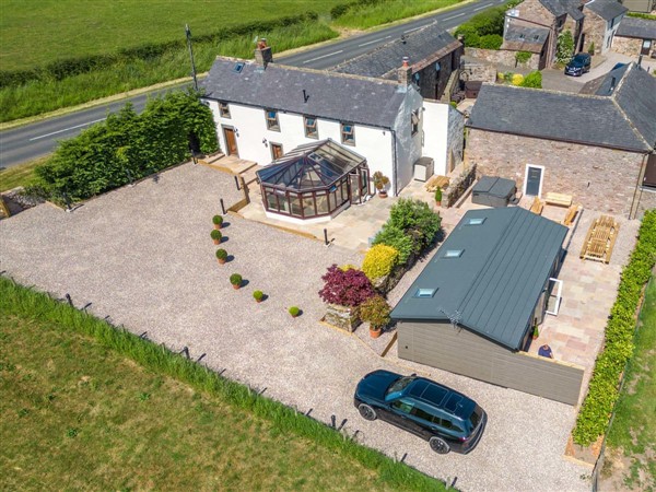Pear Tree in Cumbria