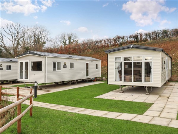 Pendine Bay - Birch 1 in Dyfed