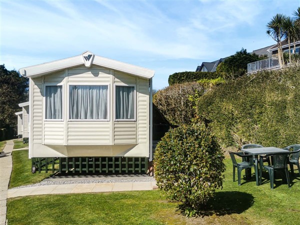 Pheasant Walk in Dyfed