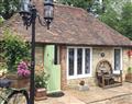 Relax at Piglet Lodge; East Sussex