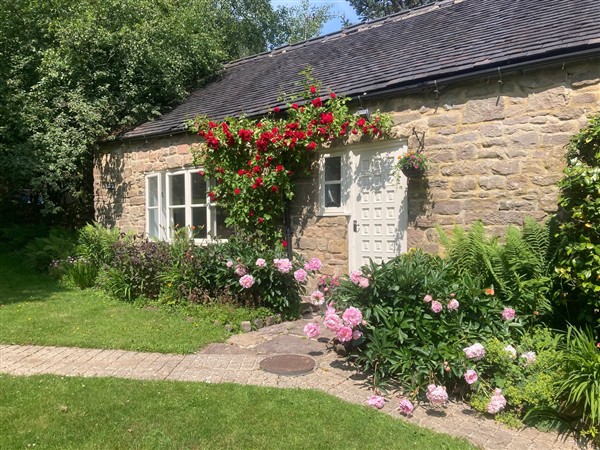 Pigwig Cottage - Derbyshire