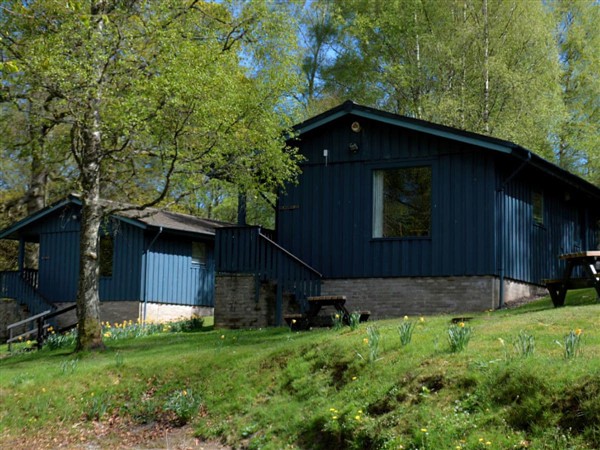 Pine Chalet 23 in Perthshire