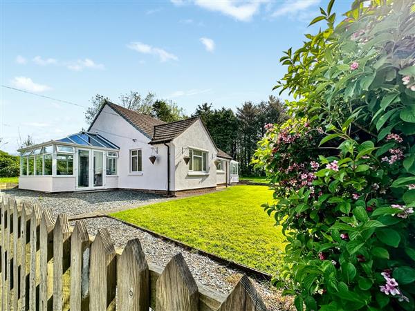 Pine Cottage in Devon