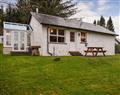Relax at Pine Cottage; Perthshire