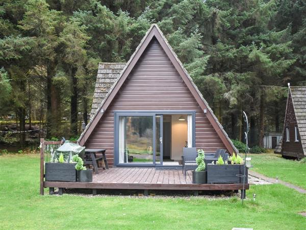 Pine Needle Lodge in South Laggan, Inverness-Shire