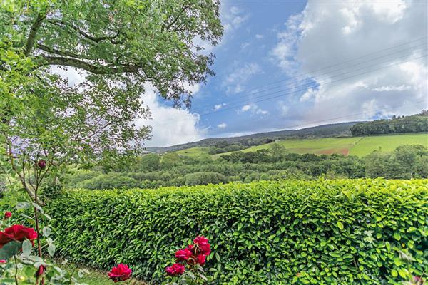 Pine Tree Lodge in Somerset