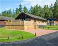 Enjoy your time in a Hot Tub at Pine Tree; ; Otterburn