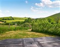 Take things easy at Pippin Yurt; Dorset
