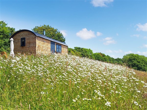 Pip's Hut in Devon