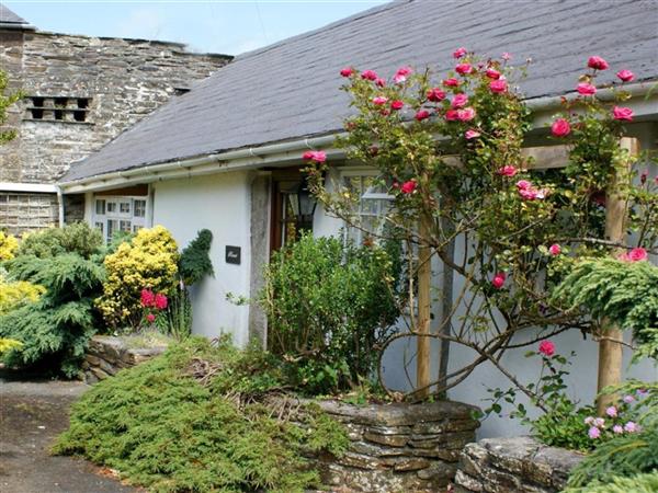 Plover Cottage in Tintagel, Cornwall