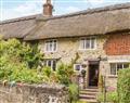 Plum Tree Cottage in Cranborne Chase and West - Dorset