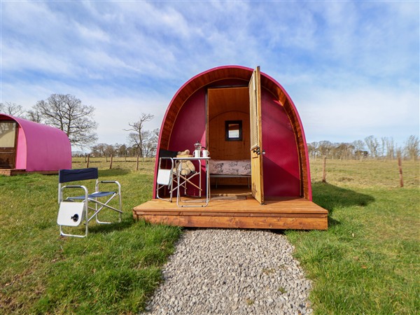 Pod 1 in Denbighshire