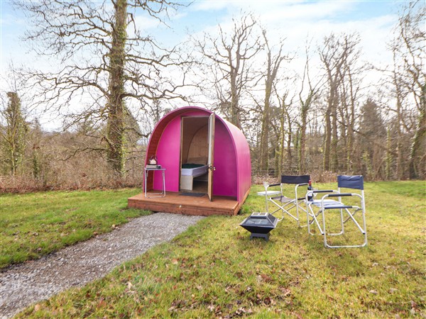 Pod 2 in Denbighshire