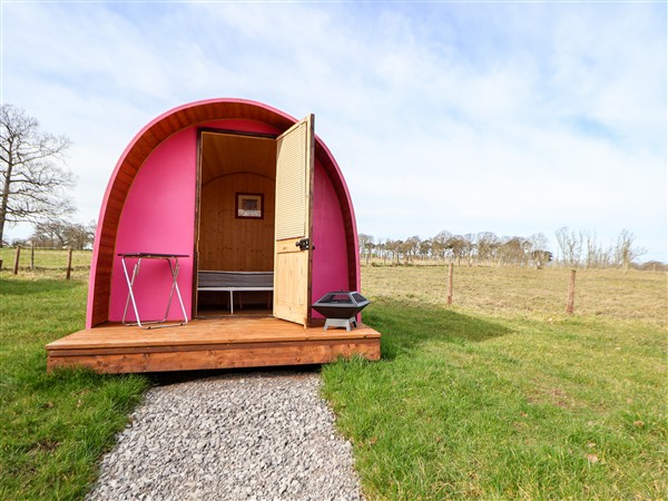 Pod 3 in Denbighshire