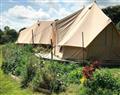 Enjoy a glass of wine at Poppy Bell Tent space for 4; ; West Anstey