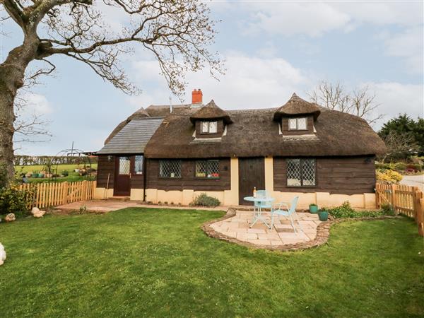 Poppy Cottage - Devon
