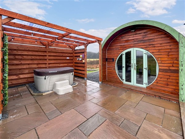 Poppy Pod, Newton Stewart