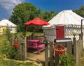 Forget about your problems at Poppy Yurt; Cornwall