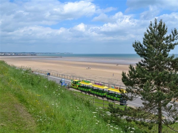 Primrose in North Humberside