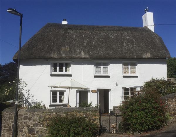 Primrose Cottage in Devon