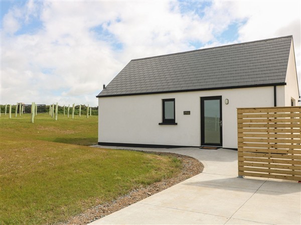 Radharc an Hook @ Estuary Bliss in Wexford