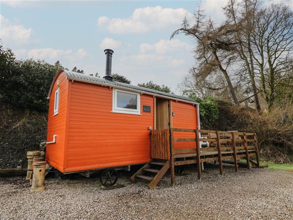 Red Kite Hut in Powys