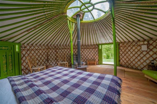 Redwood Valley Cabins and Yurts - Eilian in Powys