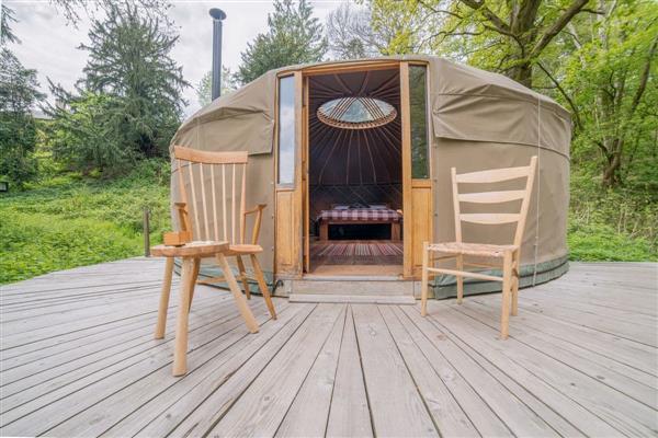 Redwood Valley Cabins and Yurts - Seren in Powys