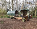 Forget about your problems at Rosa Gypsy Pod; ; Great Strickland