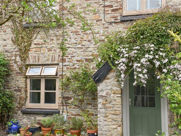 Rose Cottage in Devon