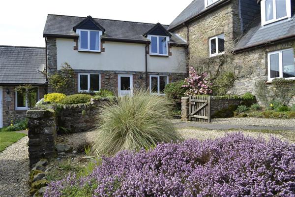 Rose Cottage in Somerset