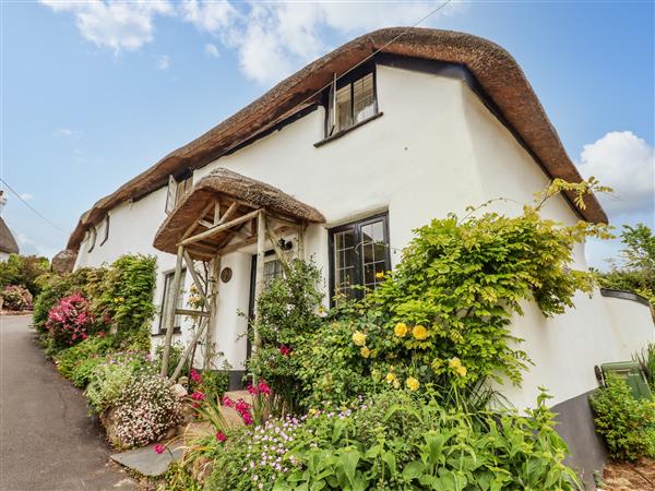 Rose Cottage in Holcombe - Devon