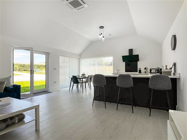 Rose, Ospringe, near Faversham