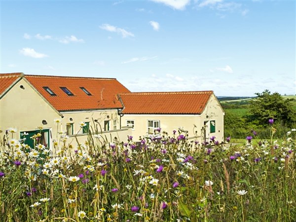 Roses Rest in Lincolnshire