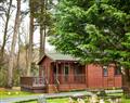 Royal Deeside Woodland Lodges- Lodge B in Dinnet, near Ballater - Aberdeenshire