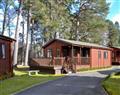 Forget about your problems at Royal Deeside Woodland Lodges- Lodge D; Aberdeenshire