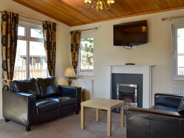 Royal Deeside Woodland Lodges- Lodge G in Aberdeenshire