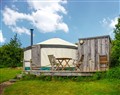 Unwind at Russet Yurt; Dorset