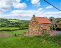 Enjoy a glass of wine at Rustic View; Goathland; North Yorkshire
