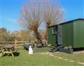Salthaven  Shepherds Hut - East Sussex