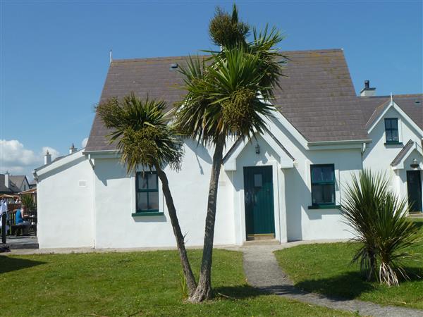 Sandeel Bay - Wexford