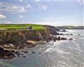 Sea Holly in  - Thurlestone