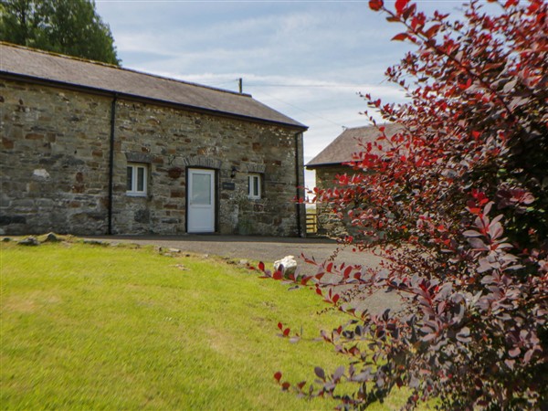 Shearers in Dyfed