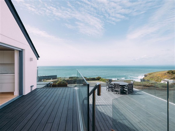 Shearwater in Cornwall