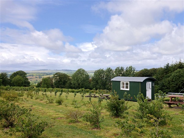 Shepherds Hut at East Hill Pride in Devon