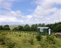 Shepherds Hut at East Hill Pride - Devon